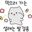 서초중앙로12길 37 (1) 이미지