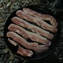 (주)핫독스튜디오 | 2022.11.06-11.12 주간일기 (수원 나들이, 송파보건소, 강동 그린웨이캠핑장)