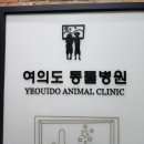 여의도 동물병원 은하점 이미지