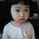 이은채 카카오 검색결과