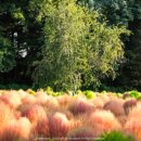 달빛농장 이미지