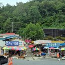 단양읍사무소 | 충북 단양 아이와 가볼만한곳 관광명소 고수동굴 후기