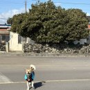 판수농장 이미지