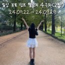일상 포토 덤프 챌린지 4주 차 2탄
