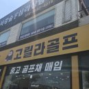 일산 중고아이언 으로 교체했더니 완전 달라진 스윙 솔직 후기