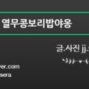 유어마이펫 이미지