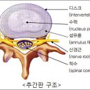더디스크 이미지