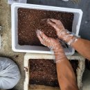 즐거운우리동네협동조합 이미지