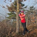 대황강 자연휴식공원 이미지