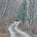 봉화1길 이미지