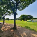 하단동1154 이미지