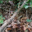 천마여행 이미지