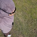 디나휘트니스 이미지