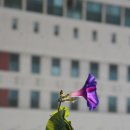 삼귀 이미지