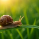 달팽이공인중개사사무소 이미지