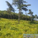 아산면사무소 이미지