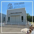 [경기도 화성] 화성시민동물보호센터 산책 봉사 후기 (입양 절차, 센터 위치)
