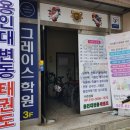 용인대 변동 태권도 이미지