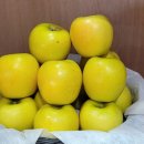 군민의 날 헬로콘서트 좋은날 이미지