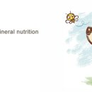 프로켐(주) 이미지