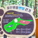 해변슈퍼 이미지