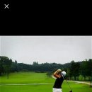 윌골프연습장 이미지