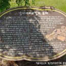 낙동강 남지개비리길(신전) | 대구참사랑과 남지 개비리길 합동트레킹이야기.