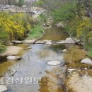 청류_맑고 청아한 이미지