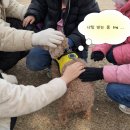 GS25 송내퍼스트점 | 강아지 산책 일상로그｜산책코스로 하기 좋은 곳 추천