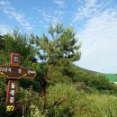 망마경기장 이미지