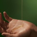 제임스짐(207) 이미지