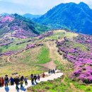 황매산장대 이미지