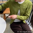 올리브스타일링