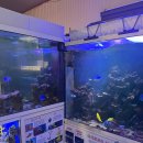 아쿠아춘천닭갈비 이미지