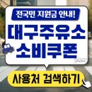 대명에너지(세교) 주유소 | 대구 소비쿠폰 주유소 사용처 찾기 민생회복지원금 최저가 가격 확인방법 가맹점 위치