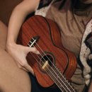 우드 너 이미지