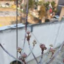 한송농장 이미지