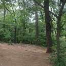 오정초교 입구 이미지