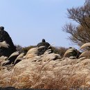 엄마의 품처럼 포근한 느낌의 공원, 제주돌문화공원 이미지