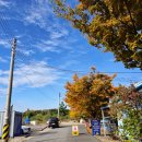 서울오토정비코너 | 서울근교캠핑장추천/ 대부도 선재오토캠핑장 내돈내산 후기/ [선재오토캠핑장]