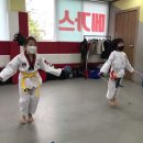 메가스태권도 이미지