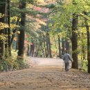 자연속에 고기세상 이미지