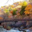 웰빙자동차정비 이미지