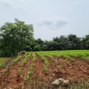 북쌍3리마을회관 이미지