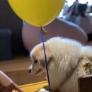 몽린이집 이미지