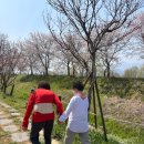 음악이 있는 힐링원예 이미지