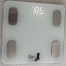 디데이핏 | 클렌즈 비움 PRO 버닝올로지 디데이 2주 몸무게변화 후기 | 웨딩드레스 피팅 전 관리 ㅣ 내돈내산