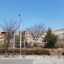 관곡초등학교 이미지