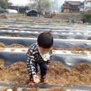 준영농장 이미지