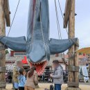 ㈜마이게임인터렉티브 | 일본 오사카 자유여행 슈퍼 닌텐도 월드 확약권